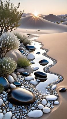 a painting of rocks and plants in the sand with water running through them at sunset