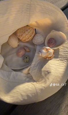 several seashells are placed in a white hat