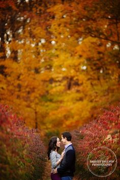 an image of a couple kissing in front of trees with autumn leaves on it and the caption says, save