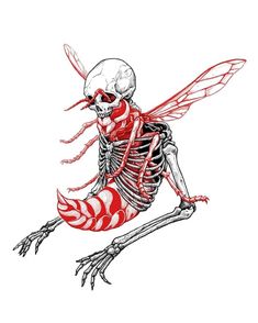 a skeleton sitting on the ground with its legs spread out and eyes closed, while wearing red