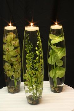 three vases filled with plants and lit candles