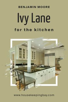 Ivy Lane 523   for the Kitchen by Benjamin Moore Kitchen Styles, Stainless Steel Appliances, Rustic Feel, Kitchen Style, Fresh And Clean