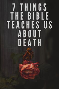 What does the Bible say about death? I know even the word death can trigger a whole lot of emotions, painful memories, grief and fear. Many choose to simply not talk about it. But it’s hard to ignore, death is all around us. But most of us just prefer to live in denial. Thanks to modern medicine we can live like we will never die. So we stick our heads in sand and pretend death won’t knock on our door. But it will. I think it’s important we acknowledge that and seek wisdom from God’s Word. Wisdom From God, Jesus Wept, Evil Person, In Denial, Revelation 21, Short Words, Losing Someone