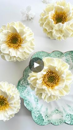 three white flowers sitting on top of a green plate next to two smaller ones with yellow centers