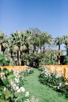 an outdoor ceremony setup with white flowers and palm trees