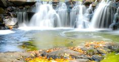 there is a waterfall in the water with leaves on the rocks and fallen leaves around it