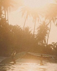 two people on surfboards in the water with palm trees and sun shining behind them