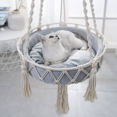 a white cat is laying in a hammock