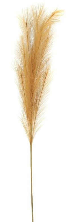 38 Fabric Pampas Grass Plume: Wheat - FG601433 - The Wreath Shop Golden Wheat, Linen Ribbon, Decorative Vases, Wheat Grass, Wreath Making, Christmas Tree Design, Hanging Planter, Tall Vases, White Snowflake