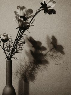 two vases with flowers in them on a table next to a wall and shadow