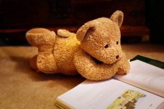 a teddy bear laying on the floor next to an open book