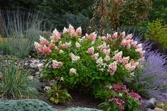 a garden filled with lots of flowers and plants