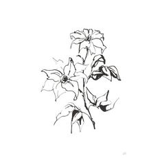 a black and white drawing of flowers on a white background