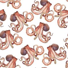 an octopus is depicted in this watercolor painting