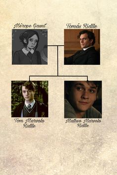 the family tree for harry potter