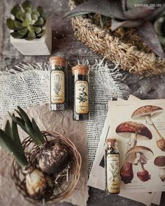 three bottles are sitting on a table next to some plants and other items that include mushrooms