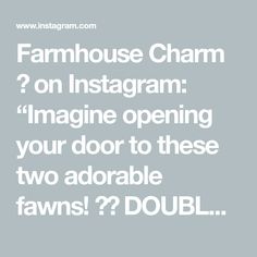 the text farmhouse house charm on instagram imagine opening your door to these two adorable fawns????