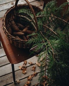 a basket filled with pine cones sitting on top of a wooden bench next to a tree