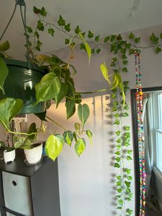 a houseplant hanging from the ceiling next to a window