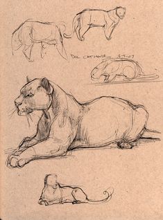 three different types of animals are shown in this drawing, and one is lying down on the ground