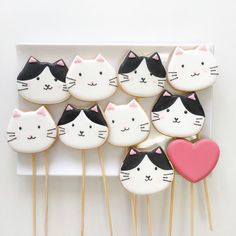 decorated cookies with cats and hearts on sticks