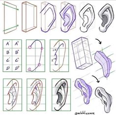 the steps to draw ear shapes