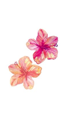 two pink flowers on a white background