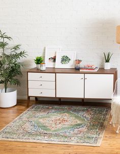 a living room with a rug, potted plants and pictures on the sideboard