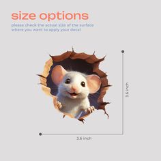 a white rat peeking out of a hole in the wall with text that says size options