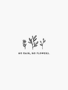 the words no rain, no flowers written in black ink