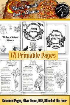 the front and back pages of an adult coloring book, with text that reads'17 print