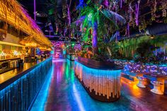 the bar is lit up with colorful lights and palm trees in the backround