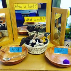 the birds are sitting in the basket on the table next to the mirrors and signs