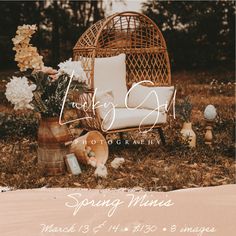 a chair and flowers sitting on the ground in front of a sign that says spring mums