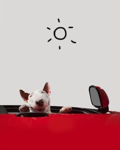 a dog is sitting in the back of a red car with its head up and it's eyes closed