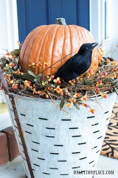 a black bird sitting on top of a basket filled with pumpkins