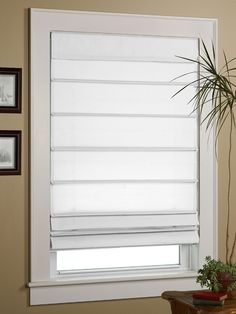 a living room with a potted plant next to a window covered in white roman shades