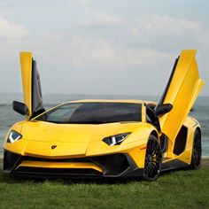 a yellow sports car with its doors open on the grass by the water's edge