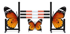 two butterflies standing next to each other on top of a black stand with red and white stripes