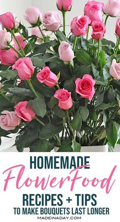 pink roses in a vase with text overlay that reads homemade flower food recipes and tips to make bouquets last longer