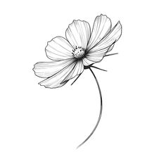 a black and white photo of a flower