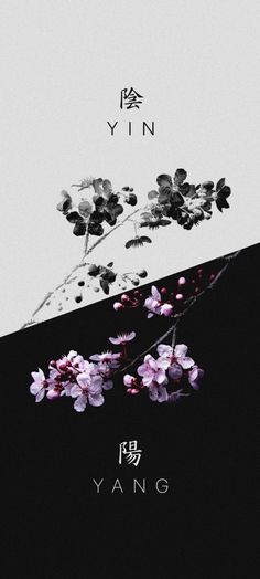 Brutalist Art, Spider Illustration, Spider Lily, Japon Illustration, Dark Phone Wallpapers, Hd Phone Wallpapers, Flowers Aesthetic, Edgy Wallpaper