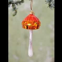 a glass ornament hanging from a tree branch