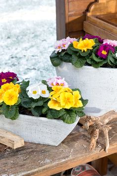 two white planters filled with flowers sitting on top of a wooden bench