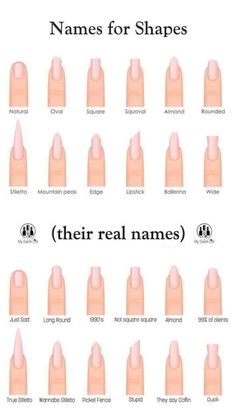 Nail Tips Shapes, Square Nail Sizes, Natural Nail Shapes Long, Nails Acrylic Length Chart, Acrylic Nail Shapes And Lengths, Basic Colored Nails, Nail Design For Medium Nails, Nail Chart Shape, Beginner French Tips Nails