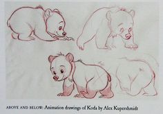 some drawings of bears and other animals on paper