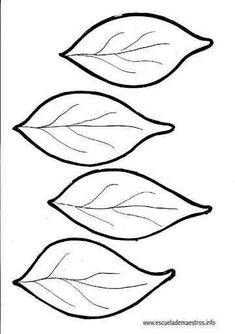 three leaves that have been drawn on paper