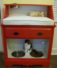 there are many different pictures of cats in the room with their food bowls and bed