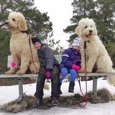 two children and three dogs sitting on a bench