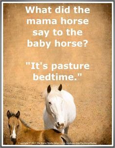 a horse and a foal are shown with the caption what did the mama horse say to the baby horse? it's pasture bedtime